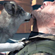 Illustration for article titled An Open Apology To D-Dog